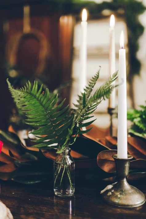 Fern Table Decor, Fern Centerpiece Wedding, Submersible Centerpieces, Fern Centerpiece, Fern Bouquet, Candle Photography, Fern Wedding, Candles Photography, Diy Winter