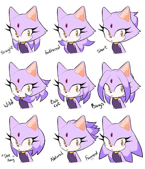 Blazamy Fanart, Sonic Oc Base, Cat Fanart, How To Draw Sonic, Blaze The Cat, Hedgehog Drawing, Creative Drawing Prompts, Sonic Funny, Sonic Fan Characters