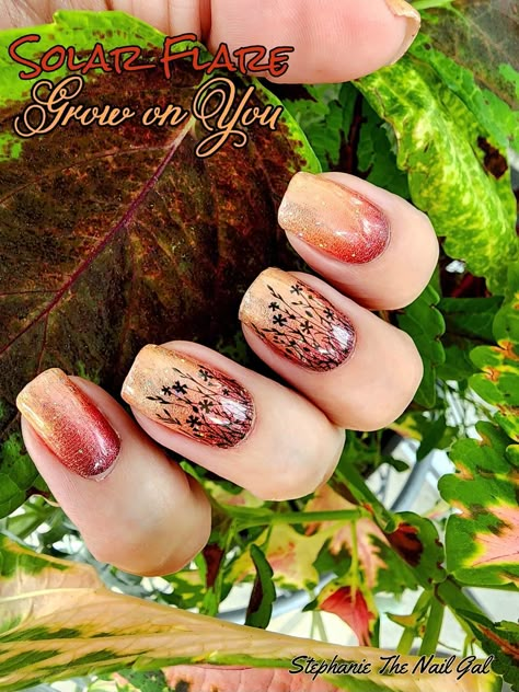 Color Street Floral Obligation Combo, Out Of Your Gourd Color Street, Fall Color Street, Color Street Fall, Colorstreet Combos, Nail Combos, Pretty Fingers, Mixed Mani, Winter Manicure