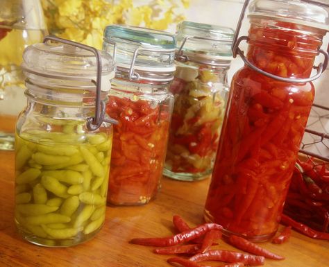 Homemade spicy pepper vinegar is a must-have condiment for collard greens but it can also add a kick to dressings and sauces. Hot Pepper Vinegar, Homemade Acv, Recipes Peppers, Preserving Peppers, Canning Hot Peppers, Pepper Vinegar, Hot Pepper Recipes, Thai Peppers, Vinegar Recipes