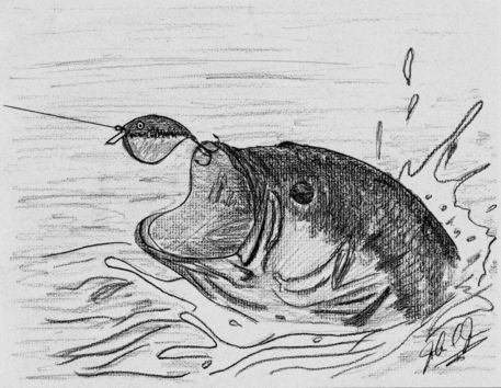 The Bass" Drawing art prints and posters by John Jones - ARTFLAKES.COM Bass Fish Drawing Pencil, Fishing Sketch Drawing, Watercolor Bass Fish, Bass Fish Painting Acrylic Easy, Bass Drawing Fish, Fishing Sketches, Fishing Art Drawing, Bass Fish Painting, Bass Fish Drawing