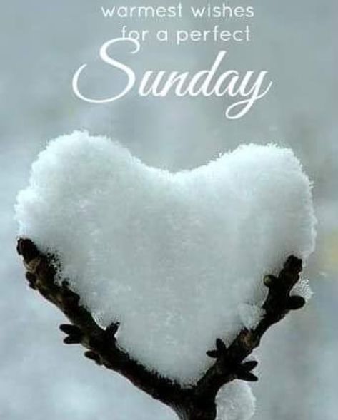 Happy Sunday Happy Sunday Images, Latest Good Morning Images, Sunday Morning Quotes, Sunday Quotes Funny, Sunday Greetings, Sunday Images, Heart In Nature, Latest Good Morning, Morning Rose