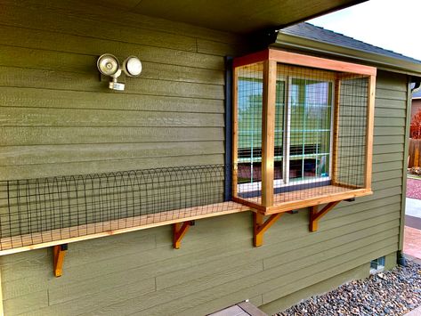 Small Outdoor Cat Enclosure, Small Cattery Ideas, Catio Ideas Porch, Cat Patio Window, Indoor Catio Cats, Catio Attached To House, Cat Outside House, Window Catio Ideas For Cats Outdoor, Easy Catio Plans