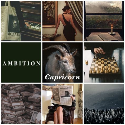 Capricorn aesthetic Capricorn + Core + Aesthetic, Capricorn Ascendant, Venus In Capricorn, Venus In Pisces, Capricorn Aesthetic, Aquarius Aesthetic, Capricorn Art, Capricorn Rising, Picture Storage