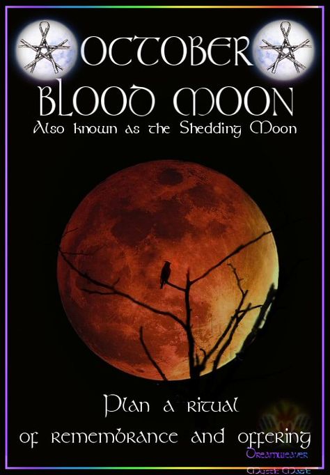 OCTOBER – BLOOD MOON Also known as the Shedding Moon Plan a ritual of remembrance and offering September Full Moon Correspondences, Wicca Full Moon, Harvest Moon Witchcraft, Harvest Moon Ritual Wicca, Blood Moon Rituals, Full Moon Invocation, 3 October, Moon Magick, Moon Ritual