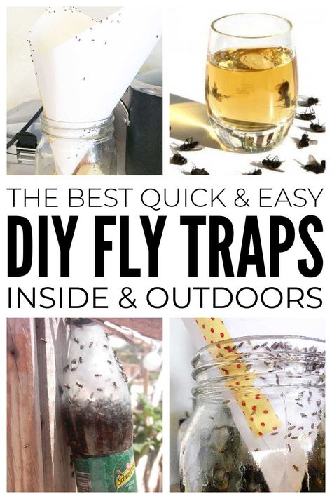 The best quick and easy DIY fly traps that really do get rid of flies fast inside and outdoors. #flytraps #diyflytraps #diypestcontrol #pestcontrol House Fly Traps, Fly Repellant Diy, Flies Trap Diy, Homemade Fly Spray, Homemade Fly Traps, Fruit Fly Trap Diy, Diy Fly Trap, Fly Infestation, Flies Outside