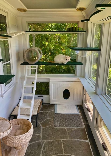 Dröm Hus Planer, Cat Room Decor, Katt Grejer, Cat Patio, Outdoor Cat Enclosure, Cat House Diy, Outdoor Cat House, Cat Enclosure, Animal Room