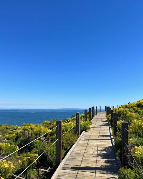 Point Dume in Malibu has the best views, sunset here is amazing. Super lowkey slept on spot. Point Dume Malibu Photography, Malibu California Aesthetic, Malibu Aesthetic, Malibu City, Point Dume Malibu, Views Sunset, Malibu Rising, California Pictures, California Towns