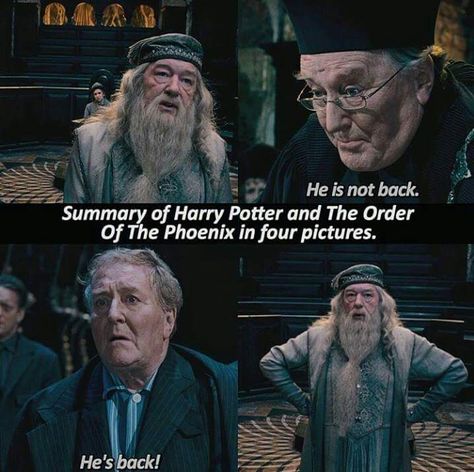 Harry Potter and the Order of the Phoenix | Dumbledore: What did I tell you, Fudge? Fudge Harry Potter, Sassy Pose, Universal Studios Outfit, Harry Potter Memes Hilarious, Potter Facts, Harry Potter 2, Harry Potter Facts, Harry Potter Jokes, Harry Potter Wallpaper