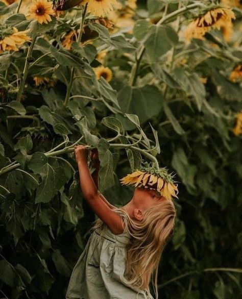 Sunflower Field Photography, Sunflower Field Pictures, Outdoorsy Kids, Sunflower Patch, Sunflower Photography, Sunflower Photo, Sunflower Pictures, Foto Baby, Fields Photography