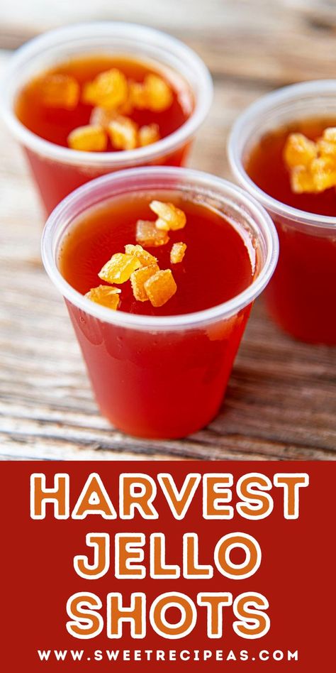 Jello Shots With Caramel Vodka, Fall Shots Recipes, Orange Jello Shots Tequila, Fall Themed Jello Shots, Fall Flavored Jello Shots, Cranberry Orange Jello Shots, Caramel Vodka Jello Shots, Oktoberfest Jello Shots, Thanksgiving Jello Shots Vodka