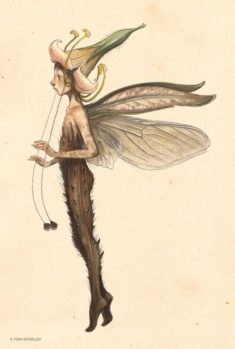 The Faerie Folk Sprite Mythical Creature, Elves Mythology, Sprite Creature, Fairy Drawing Reference, Sprite Drawing, Vintage Fairy Art, Fairy Sketches, Sprite Fairy, Tony Diterlizzi