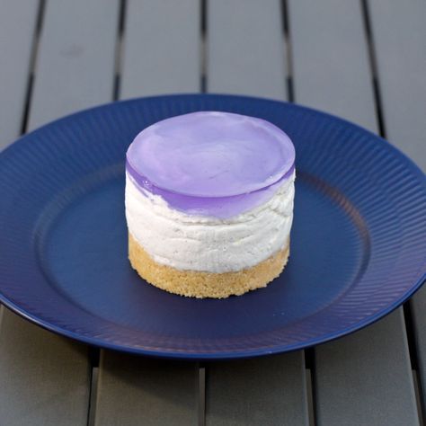 Lemon Lavender Cheesecake | SweetSourSavory Lavender Cheesecake, Lavender Jelly, Lavender Cake, Lavender Recipes, Lemon Cheesecake, Mini Cheesecakes, Lemon Lavender, Dessert Cupcakes, Mini Desserts