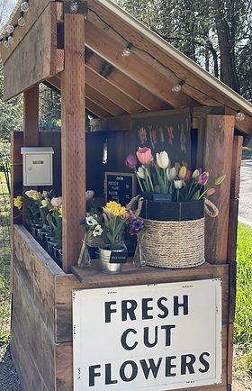 West Linn Oregon, Farmers Market Display, Garden Stand, Flower Cart, Flower Business, Flower Farmer, Flower Bar, Cut Flower Garden, Flower Stand