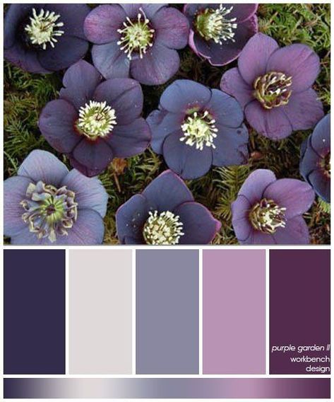 Deco Pastel, Purple Color Palettes, Color Schemes Colour Palettes, Purple Garden, Colour Combos, Color Palate, Design Seeds, Color Balance, Color Palette Design