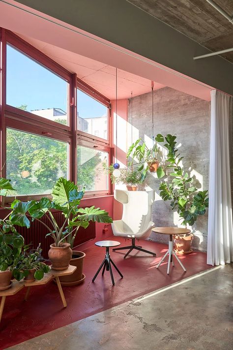 accents of pink and hanging plants decorate coordination berlin's office in germany Pink Corporate Office, Office Colorful Design, Happy Office Space, Pink Office Aesthetic Business, Colorful Office Interior, Green And Pink Office, Pink Office Space, Pink Green Office, Pink And Green Office