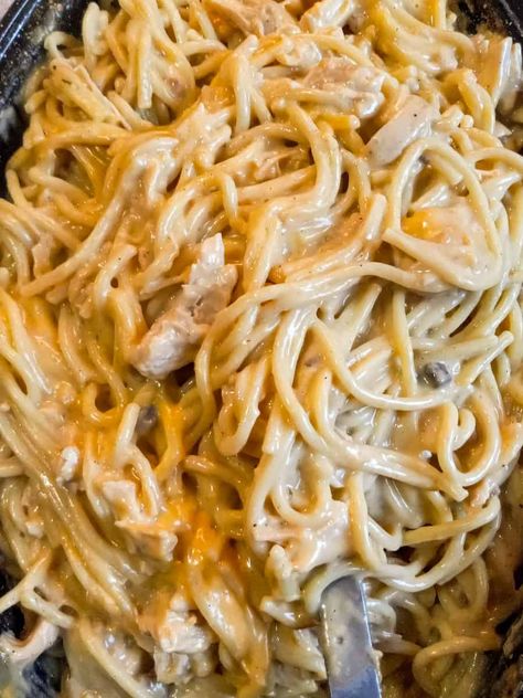 Chickenetti Recipe (Amish Chicken Noodle Casserole) - Amish Heritage Chickenetti Recipe, Chicken And Spaghetti Noodles, Amish Chicken Casserole, Amish Noodles, Chicken And Spaghetti, Best Amish Recipes, Easy Chicken Spaghetti, Creamy White Sauce, Amish Chicken