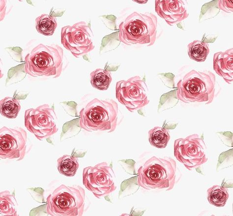 Pattern Board, Rose Background, Cat Air, Rose Wallpaper, Background Vintage, Water Colour, Floral Background, Rose Pattern, Flower Wallpaper