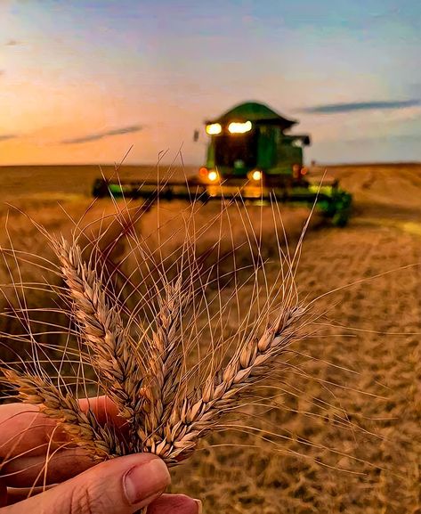 #plantio #agronomia #agronegócio #agropecuária #maquinario Agriculture Photography Farmers, Agronomy Aesthetic, Tractor Aesthetic, Agriculture Aesthetic, Farming Photo, Farming Pictures, Tractor Photography, Farming Aesthetic, Agriculture Pictures