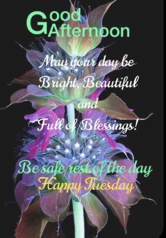 Good Afternoon Tuesday Blessings, Happy Afternoon Quotes, Tuesday Afternoon Blessings, Good Afternoon Tuesday, Good Afternoon In Spanish, Good Afternoon Blessings, Good Morning Saturday Wishes, Afternoon Blessings, Afternoon Prayer