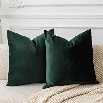 Amazon.com: JUSPURBET Army Green Decorative Velvet Throw Pillow Covers 20x20 Inches Set of 2,Luxury Solid Soft Pillow Covers for Sofa Couch Bed : Home & Kitchen Green Velvet Throw Pillow, Green Velvet Pillow, Couch Pillow Covers, Garden Pillows, Green Pillows, 16x16 Pillow Cover, 20x20 Pillow Covers, Velvet Throw, Sofa Couch Bed