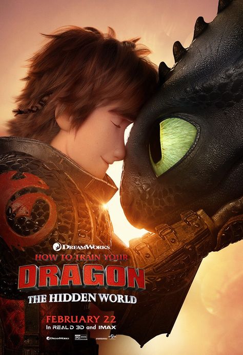 Httyd Poster, Spa Sleepover Party, Dragon Birthday Invitations, Batman Invitations, Superhero Birthday Invitations, The Hidden World, Dragon Movies, Dreamworks Movies, Dreamworks Dragons