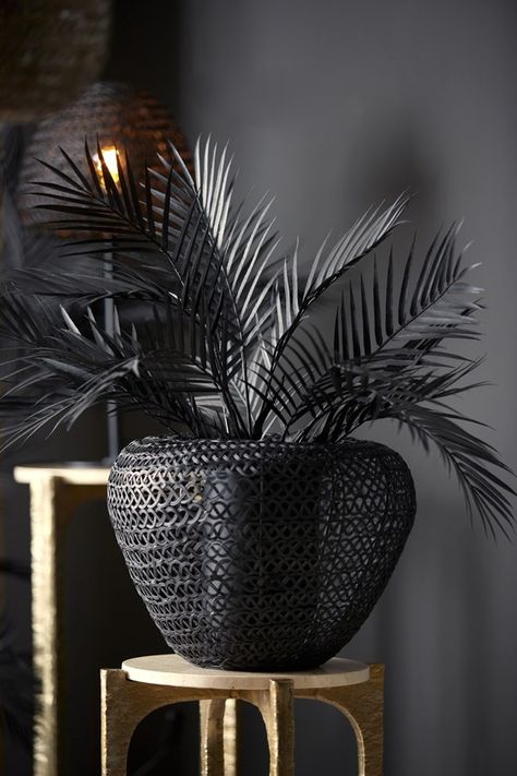 Vase Finou Rattan Vase, Table Cafe, Live Light, Vase, Black, Design