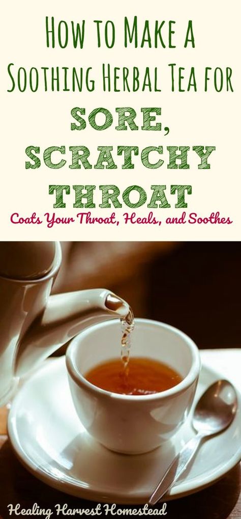 This herbal tea recipe will help that sore, scratchy throat go away FAST! It's soothing, healing, and anti-inflammatory, and your throat will feel some relief quickly. Find out how to make this herbal tea for sore throats! It's better than Throat Coat! Tea For Scratchy Throat, Throat Soothing Tea, Vocal Hygiene, Throat Soothing, Throat Tea, Sore Throat Tea, Scratchy Throat, Throat Remedies, Sore Throat Remedies