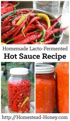 Capture the taste of summer with this homemade lacto-fermented hot sauce recipe - it's better than anything you will taste in the store! | Homestead Honey Homemade Hot Sauce Recipe, Fermented Hot Sauce Recipe, Spicy Sauces, Hot Sauce Recipe, Lacto Fermented, Homemade Hot Sauce, Fermented Pickles, Hot Sauce Recipes, Fermentation Recipes