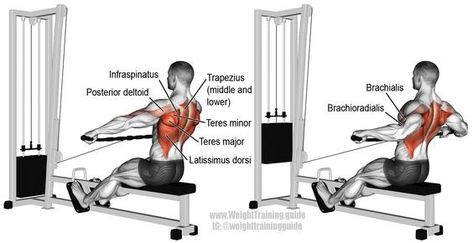 Low Cable Back Rows, Low Row Exercise, Low Row Machine Workout, Seated Row Machine, Row Exercise, Good Back Workouts, Cable Workout, Cable Row, Latissimus Dorsi