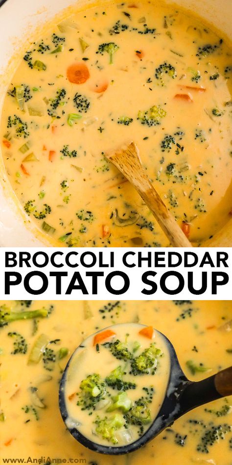 broccoli cheddar soup pinterest 1 Broccoli Cheddar Soup With Potatoes, Brócoli Cheddar Soup, Broccoli Cheddar Potato Soup, Potato Broccoli Cheese Soup, Soup Broccoli Cheddar, Broccoli Cheddar Potato, Potato Broccoli Cheddar Soup, Broccoli And Carrot Soup, Carrot And Celery Recipes