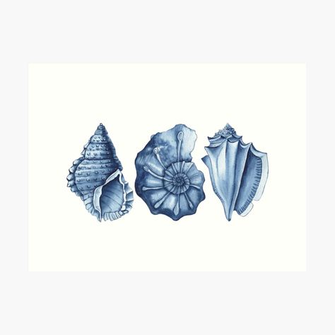 Light Blue And White Aesthetic, Seashells Painting, Watercolor Seashells, Seashells Art, Blue Seashells, Ocean Art Painting, Blue Seashell, Seashell Painting, Textile Pattern Design