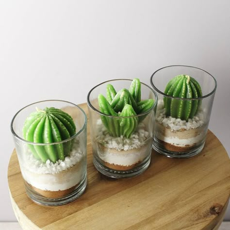 Plant Candles, Succulent Candles, Fun Candles, Plant Candle, Cactus Candle, Succulent Candle, Lilin Aroma, Cactus Candles, Succulents Candles