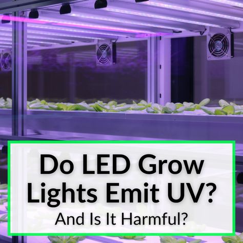 Whether you want UV light for your plants or not, it is important to know if LED grow lights emit UV rays. But the answer actually depends on what the... Uv Lights For Plants, Cheap Grow Lights, Plant Grow Light, Plant Grow Light Setup, Full Spectrum Led Grow Light, Gel Lamp, Grow Lights For Plants, Eyes Problems, Led Grow