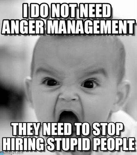 43 Angry Memes Perfectly Expresses Our Anger With 2020 Life Insurance Awareness Month, Ap Psychology, Psychology Humor, Angry Baby, Behavioral Analysis, Life Insurance Quotes, Applied Behavior Analysis, Behavior Analyst, Behavior Analysis