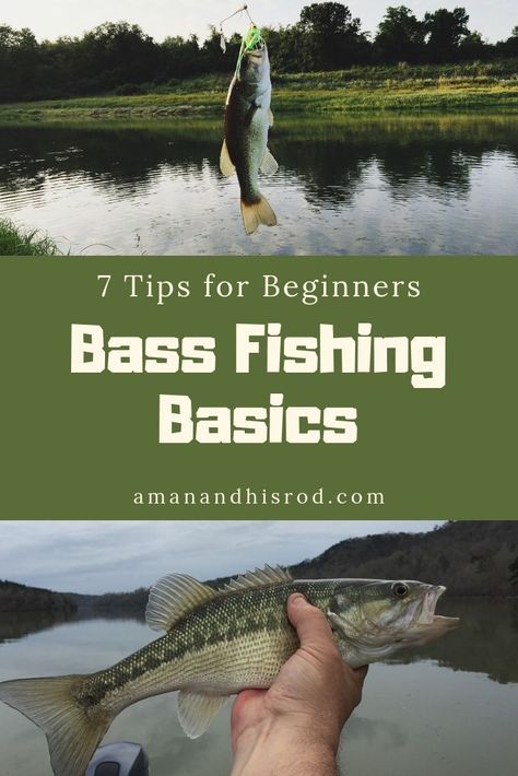 Largemouth Bass Fishing, Fishing Basics, Fishing 101, Fishing For Beginners, Fly Fishing Tips, Bass Fishing Lures, Bass Fishing Tips, Fishing Pictures, Fishing Techniques