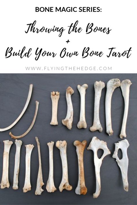 Cleaning Bones, Bone Magic, Throwing Bones, Bone Throwing, Bone Reading, Divination Methods, Dremel Carving, Bone Crafts, Hedge Witch