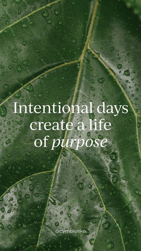 Live with intention ✨ Intentional Quotes Inspiration, Claire Aesthetic, Az Quotes, Tea Magic, Daily Intentions, Live With Intention, Rainbow Library, Wellness Journal, Daily Action