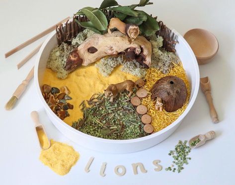 Lion Sensory Bin, Kindergarten Sensory, Animals Activities, Sensory Tray, Table Ikea, Tuff Tray, Sensory Table, Animal Activities, Messy Play