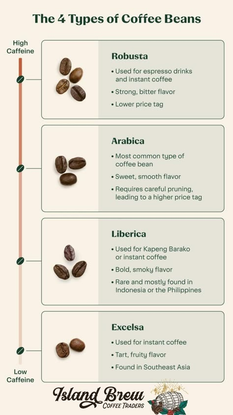 Coffee Chart, Coffee Knowledge, Types Of Coffee Beans, Coffee Infographic, Coffee Shop Business, Coffee Guide, Types Of Coffee, Coffee Facts, Popular Drinks