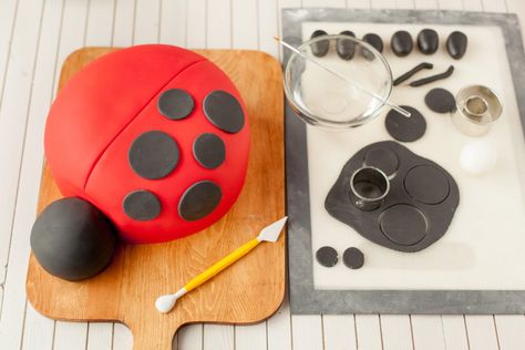 How To Make A Ladybird Cake - ILoveCooking Ladybird Cake, Cake Decorating For Kids, Ladybug Cakes, Ladybug Cake, Owl Cakes, Cinderella Cake, 4th Birthday Cakes, 2 Birthday Cake, Ladybug Birthday