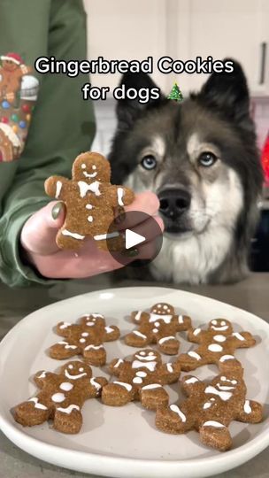 Dog Gingerbread Cookies, Gingerbread Dog Treats, Reindeer Gingerbread Cookies, Cookies For Dogs, Pet Bakery, Dog Cookie Recipes, Doggie Treats, Dog Treats Homemade Recipes, Cracker Snacks