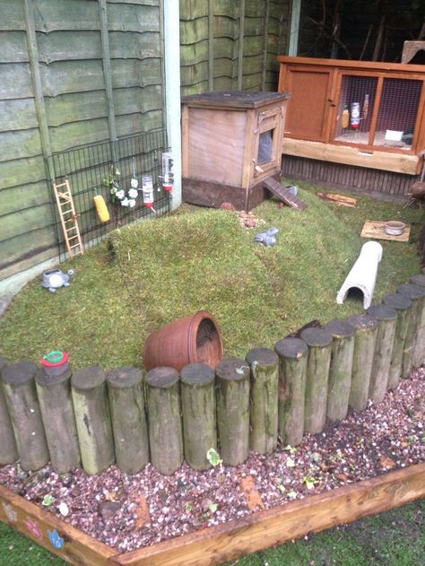 Guinea pig enclosure home hutch area More Outdoor Guinea Pig Enclosure, Guinea Pig Enclosure, Pig Enclosure, Guinea Pig Run, Pig Habitat, Diy Guinea Pig Cage, Guinea Pig Hutch, Pet Rabbit Care, Guinea Pig House