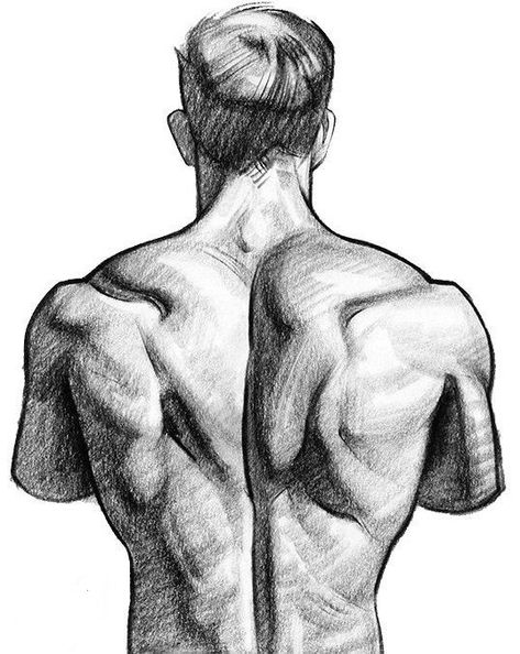 Human Body Sketch, Figure Sketch, Back Drawing, Body Image Art, Pencil Sketch Images, Body Sketches, Human Anatomy Drawing, Human Figure Drawing, Human Anatomy Art