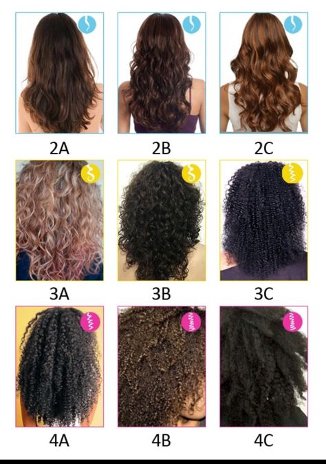 2a Hairstyles, Curl Type Chart, 1c Hair, Type 3 Hair, Hair Type Chart, 2a Hair, Summer Hair Care, Dyed Curly Hair, Natural Curly Hair Cuts