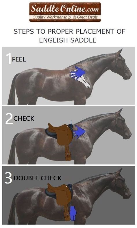 How To Measure Saddle Size, Saddle Placement Horses, How To Saddle A Horse Step By Step, Horses Tips, Horse Lessons, Horse Information, Horse Exercises, Horse Care Tips, Horse Facts