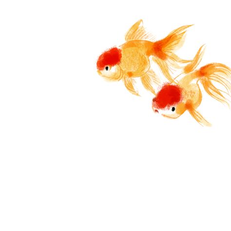 brainy Koi fish art - well, maybe the fish bowl.... Gold Fish, Goldfish, Koi, Swimming, Fish, Red, Gold, Art