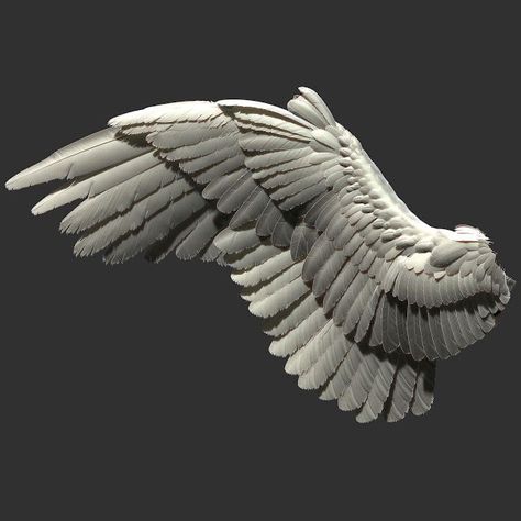 Wings On Human, Bird Wings Reference, Wings On Head, Systema Martial Art, Wings Reference, Wing Sculpture, Wing Anatomy, Character Sculpting, Wings Sculpture