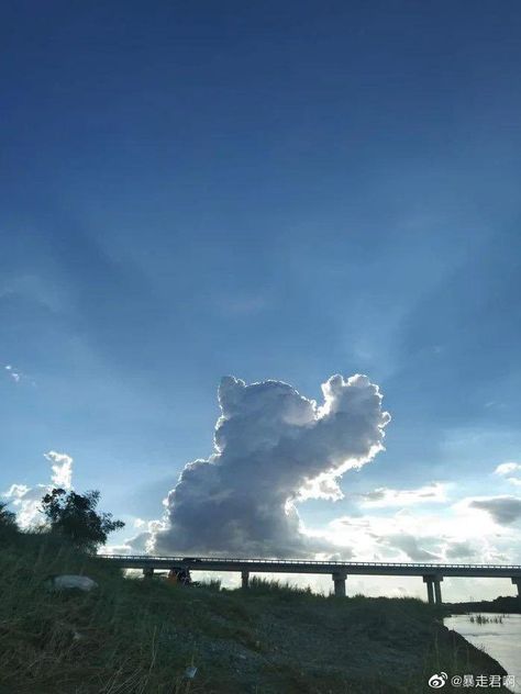 Cat And Cloud, Light Blue Aesthetic, Cloud Art, Cloud Shapes, Dog Wallpaper, Cat Aesthetic, Sky Aesthetic, Best Funny Pictures, Van Gogh