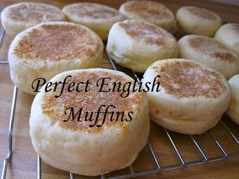 Tiny Farm Big Family English Muffins, Recipe For English Muffins, Honey Wheat English Muffin Recipe, Buttermilk English Muffins, Thomas English Muffins Recipes, Best English Muffin Recipe, Home Made English Muffins, How To Make English Muffins, Homemade English Muffins Easy